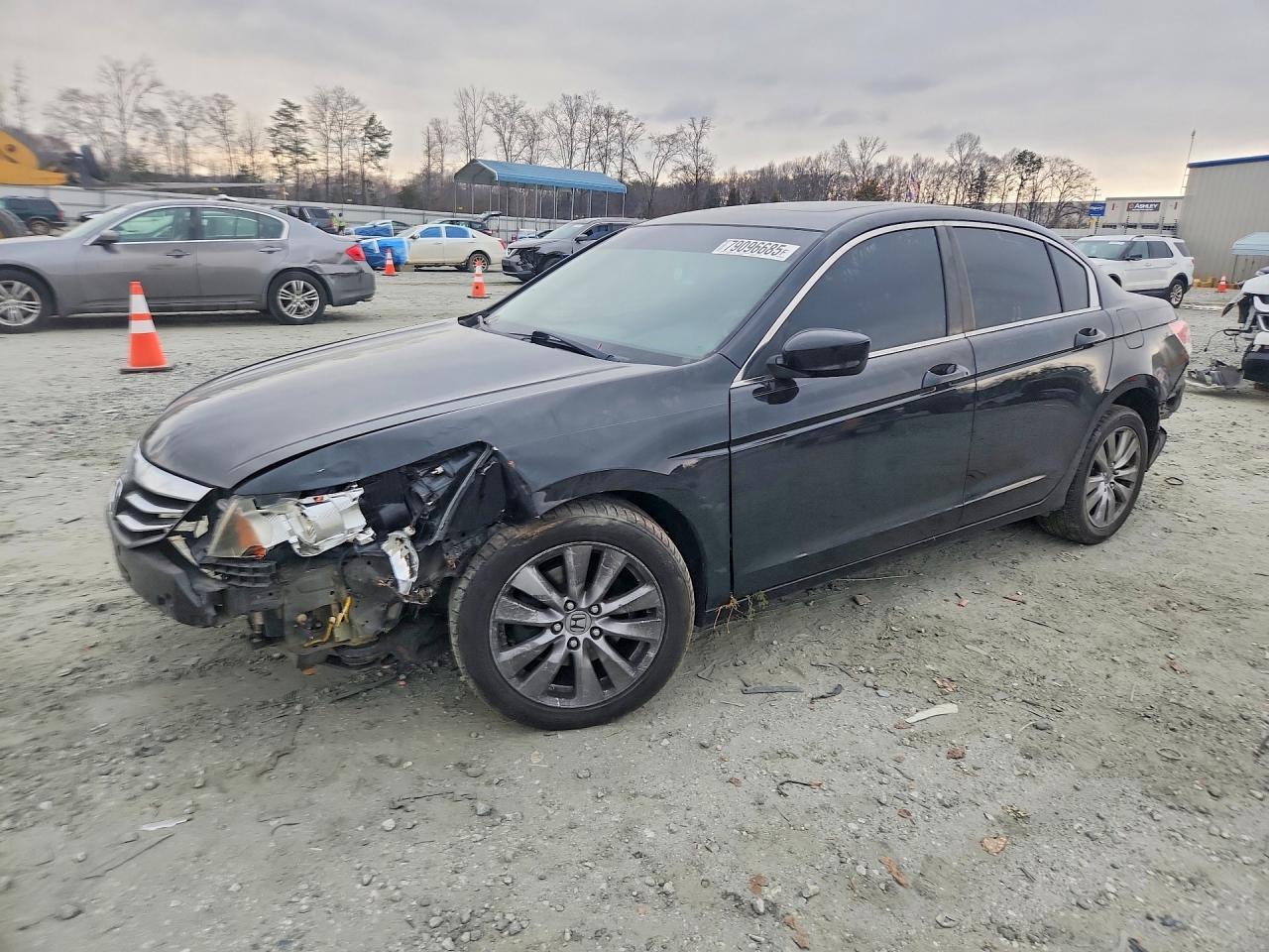 Salvage Honda Accord Image