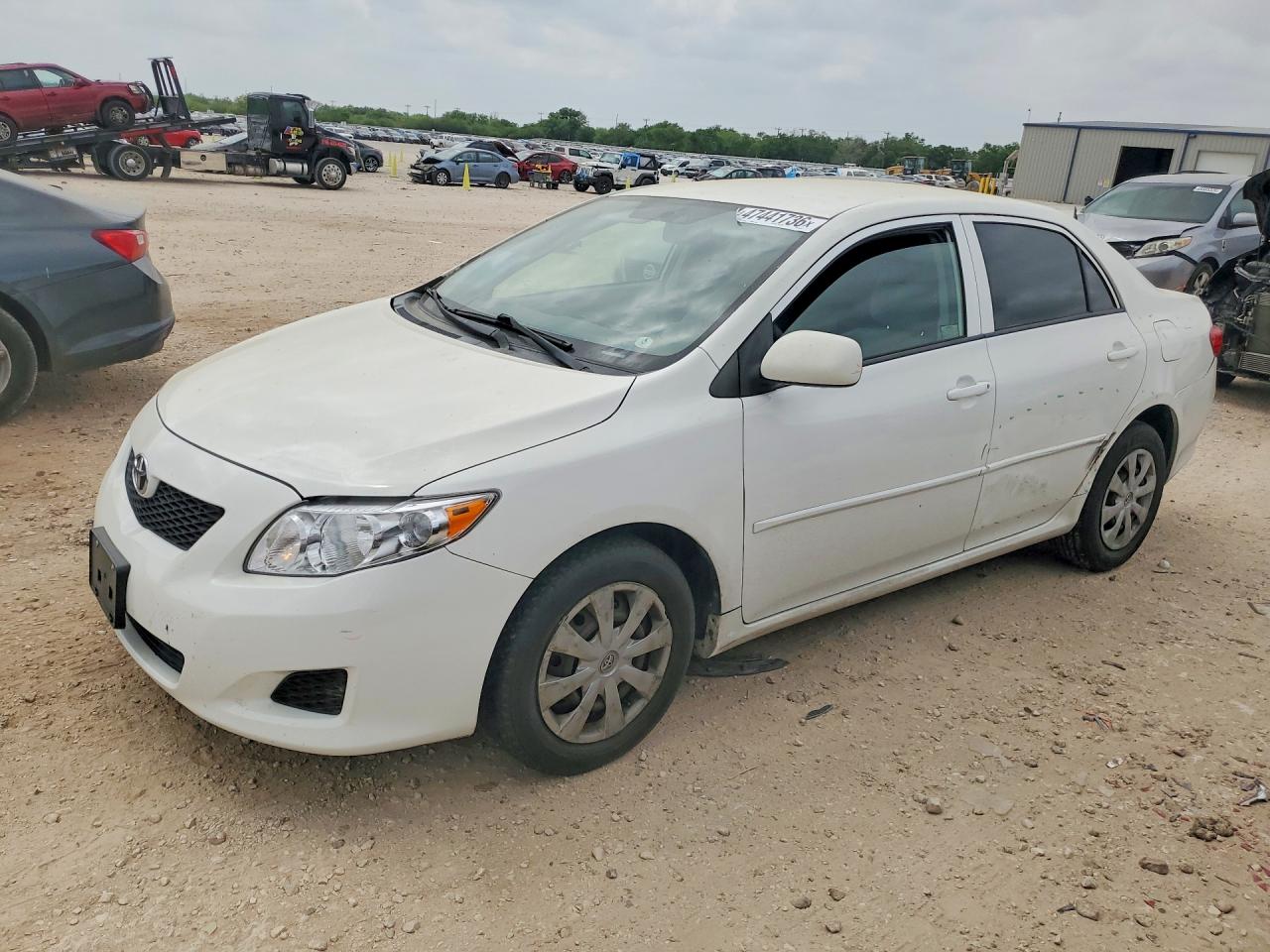 Salvage Toyota Corolla Image
