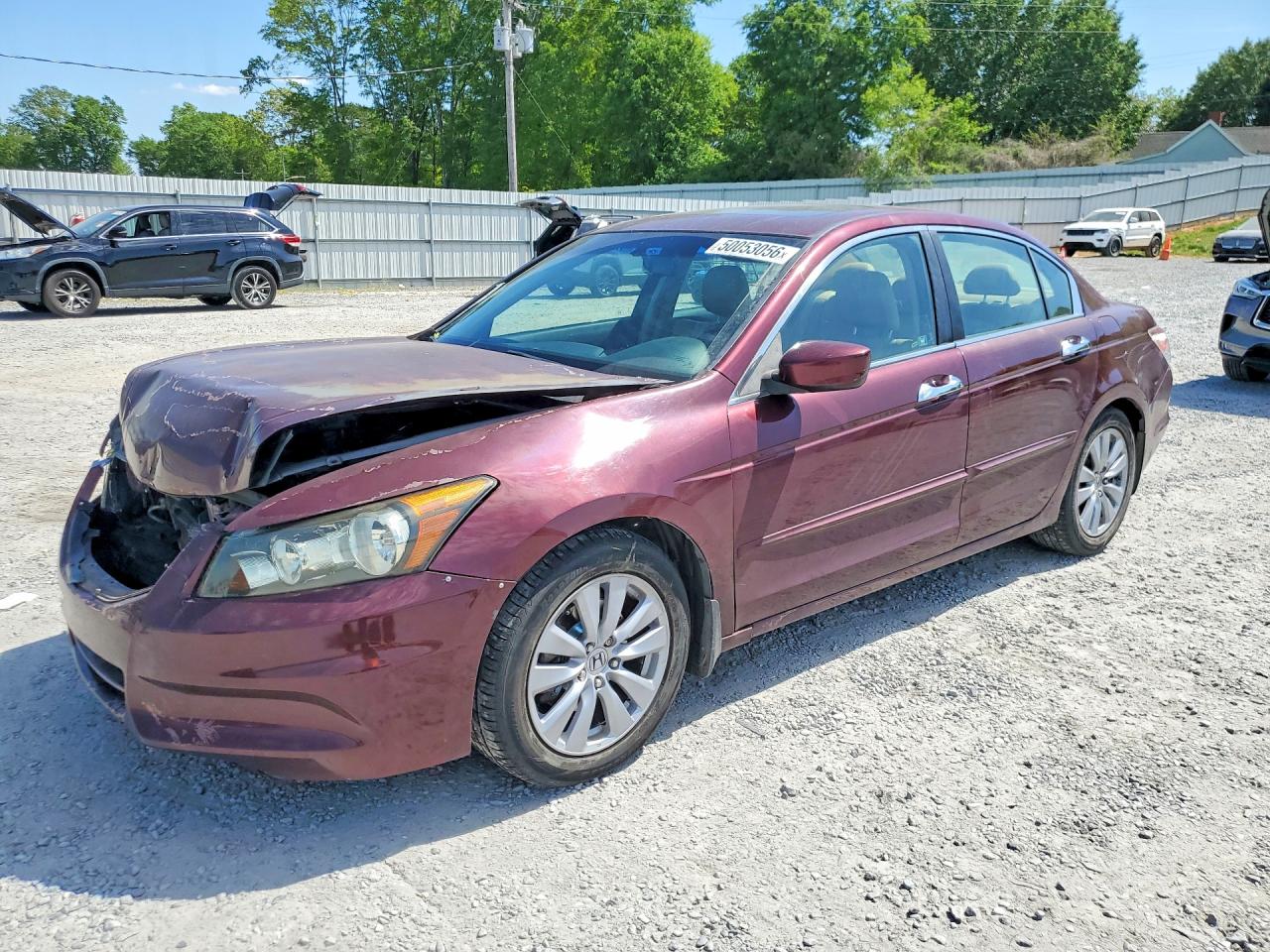 Salvage Honda Accord Image