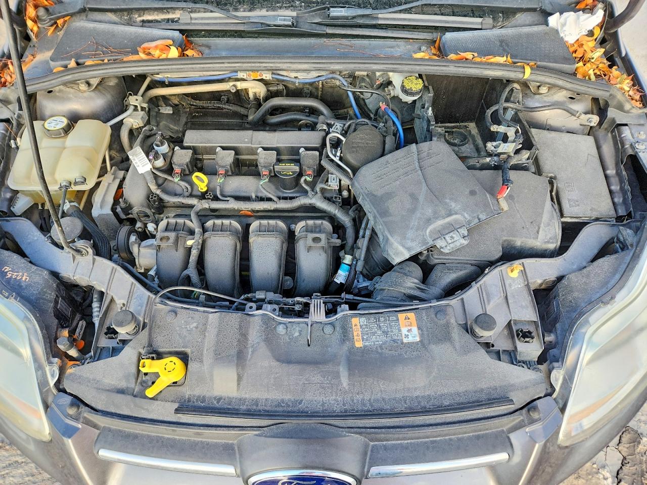 Ford Focus Se