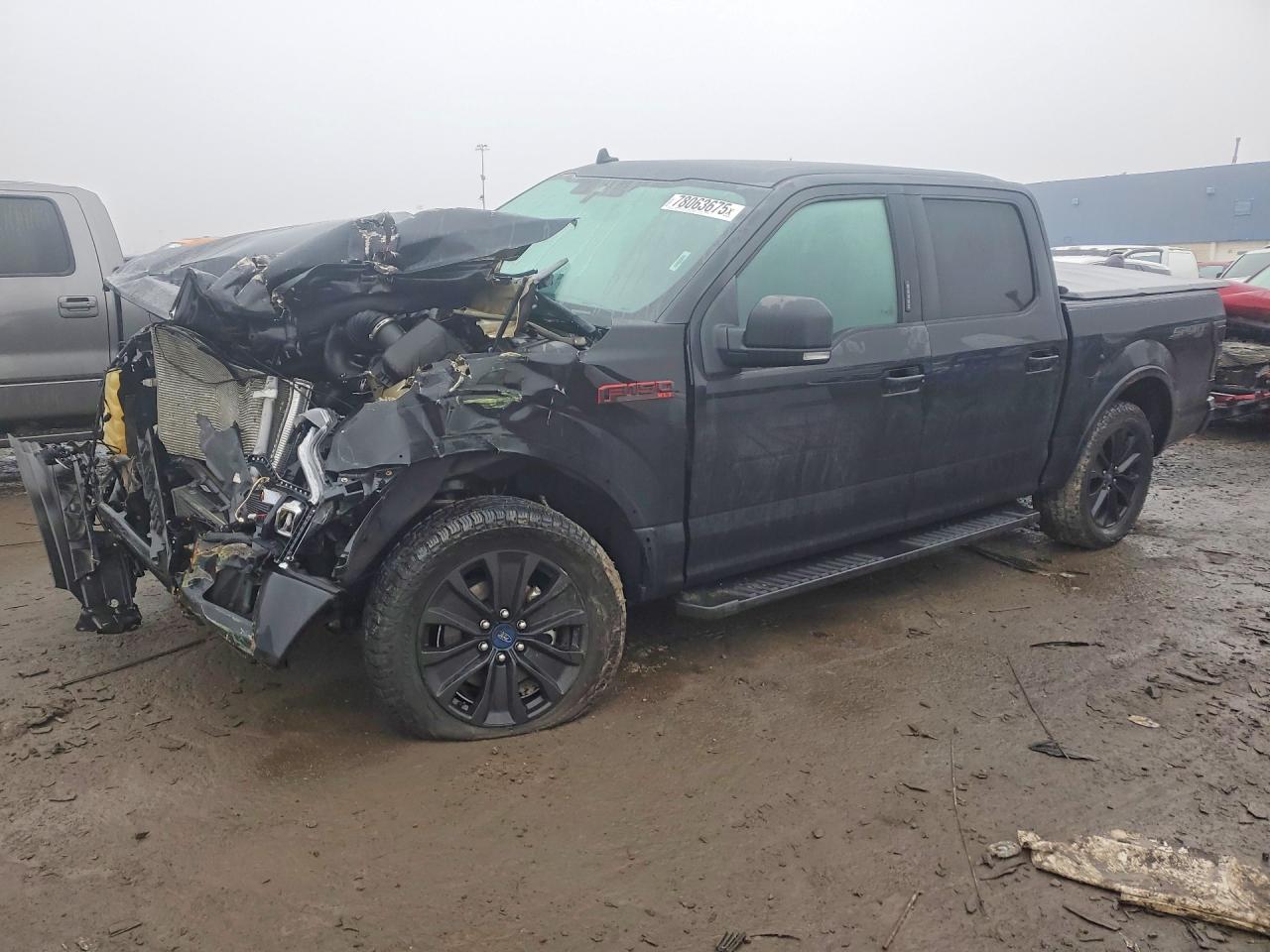 Salvage Ford F-150 Image