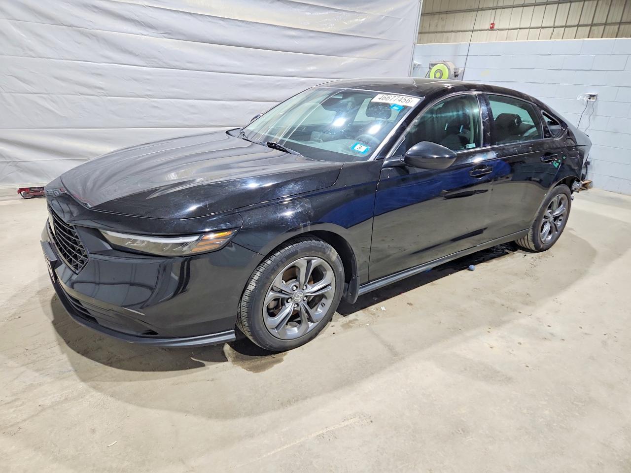 Salvage Honda Accord Image