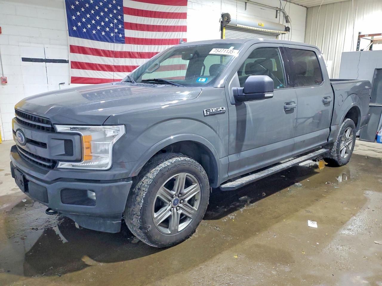Salvage Ford F-150 Image