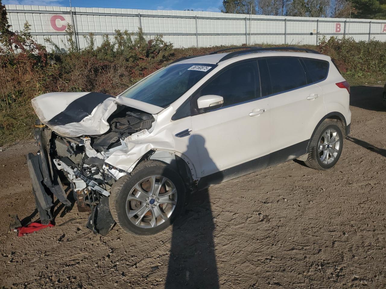 Salvage Ford Escape Image