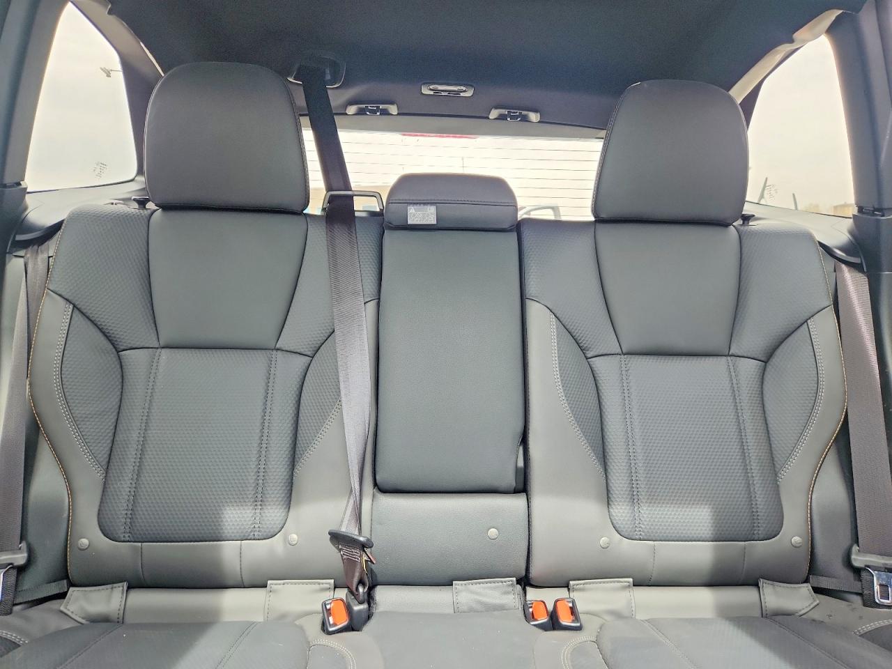 Subaru Forester Wilderness