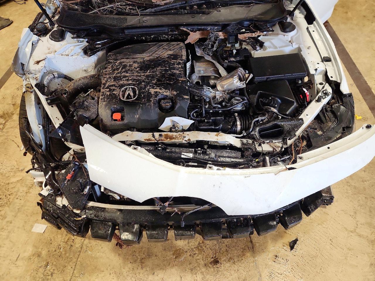 Acura TLX Type S