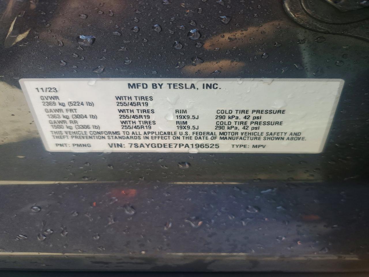 Tesla Model Y