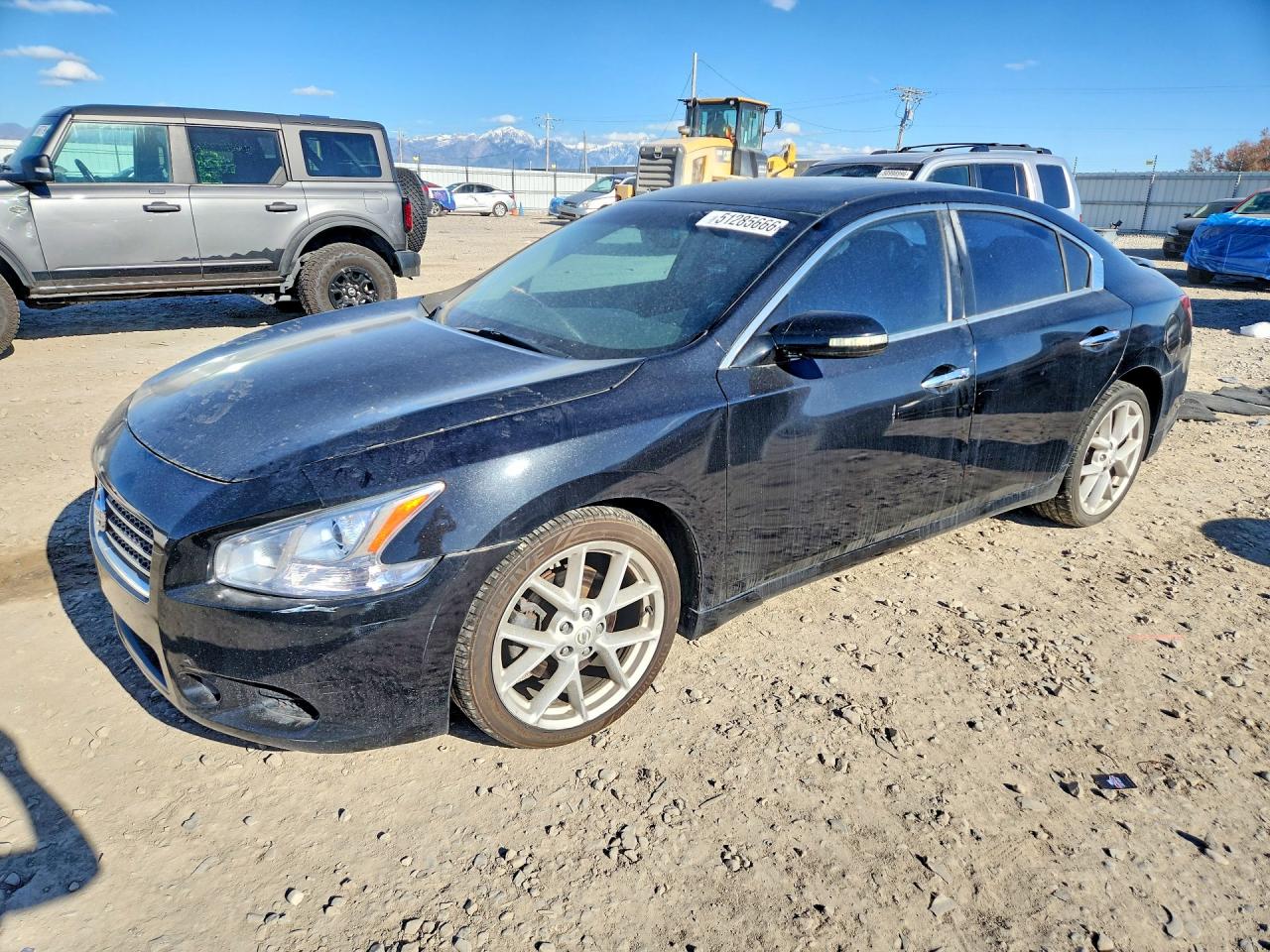 Salvage Nissan Maxima Image