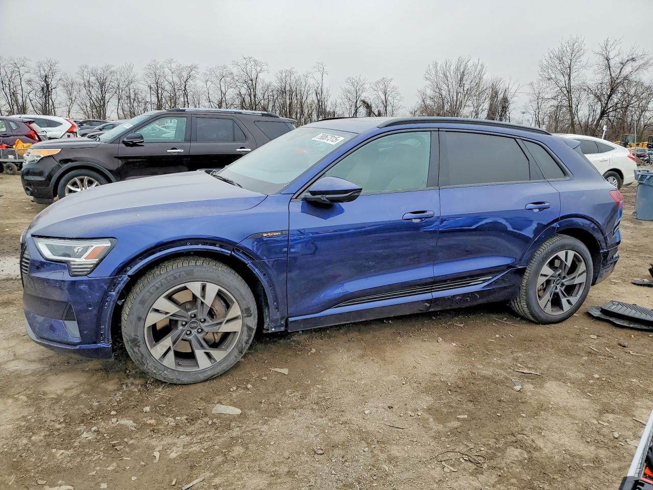 Salvage Audi e-tron Image