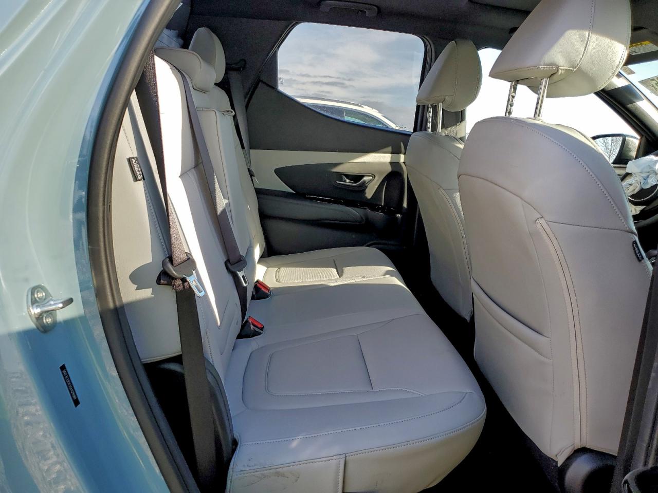 Hyundai SANTA CRUZ Sel Activity