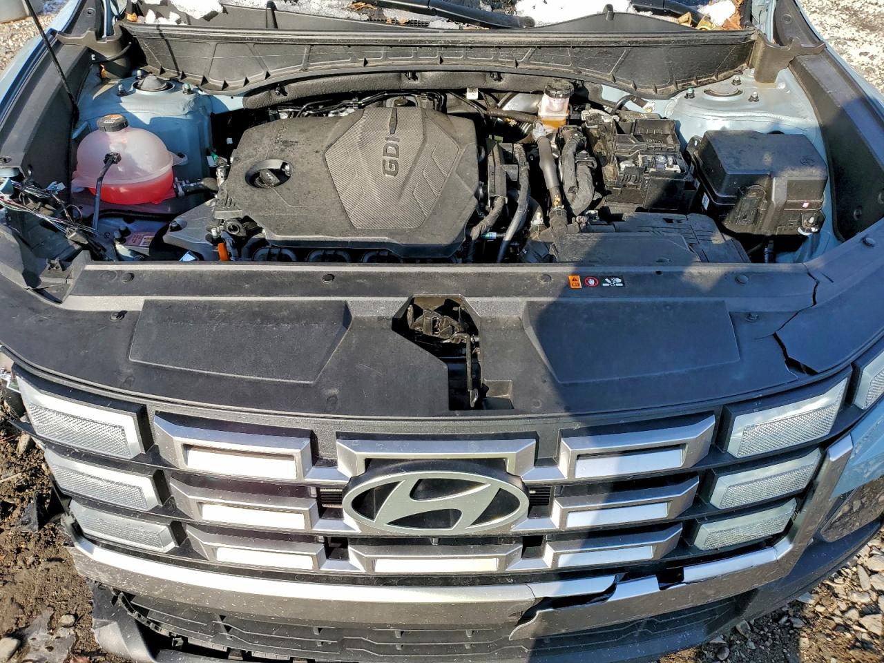 Hyundai SANTA CRUZ Sel Activity