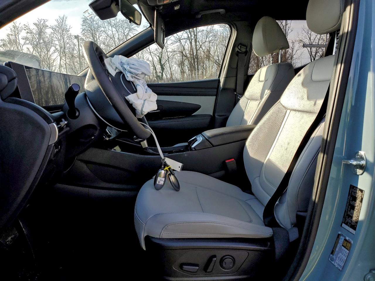 Hyundai SANTA CRUZ Sel Activity