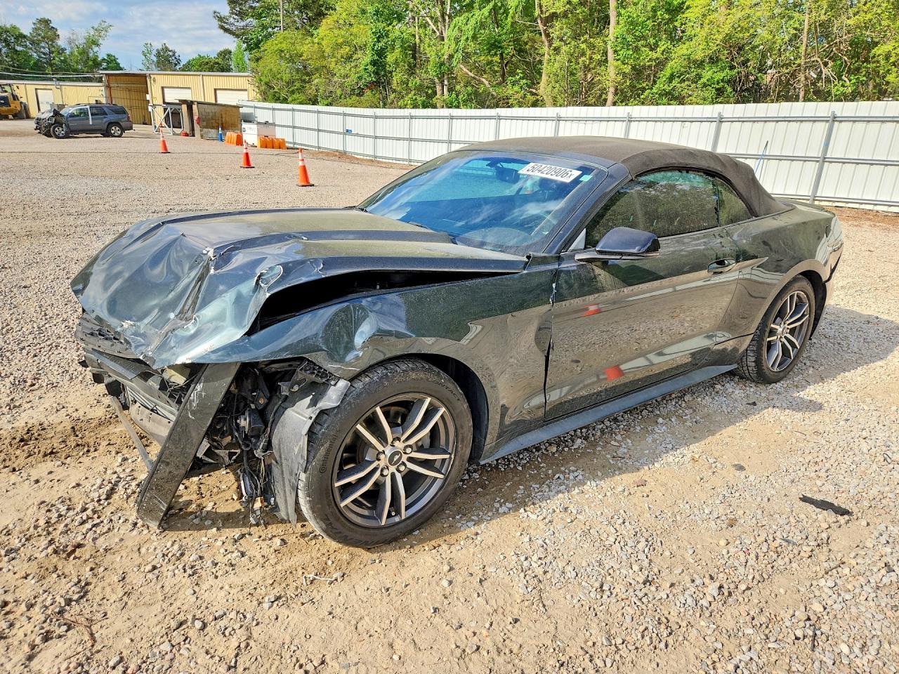 Salvage Ford Mustang Image