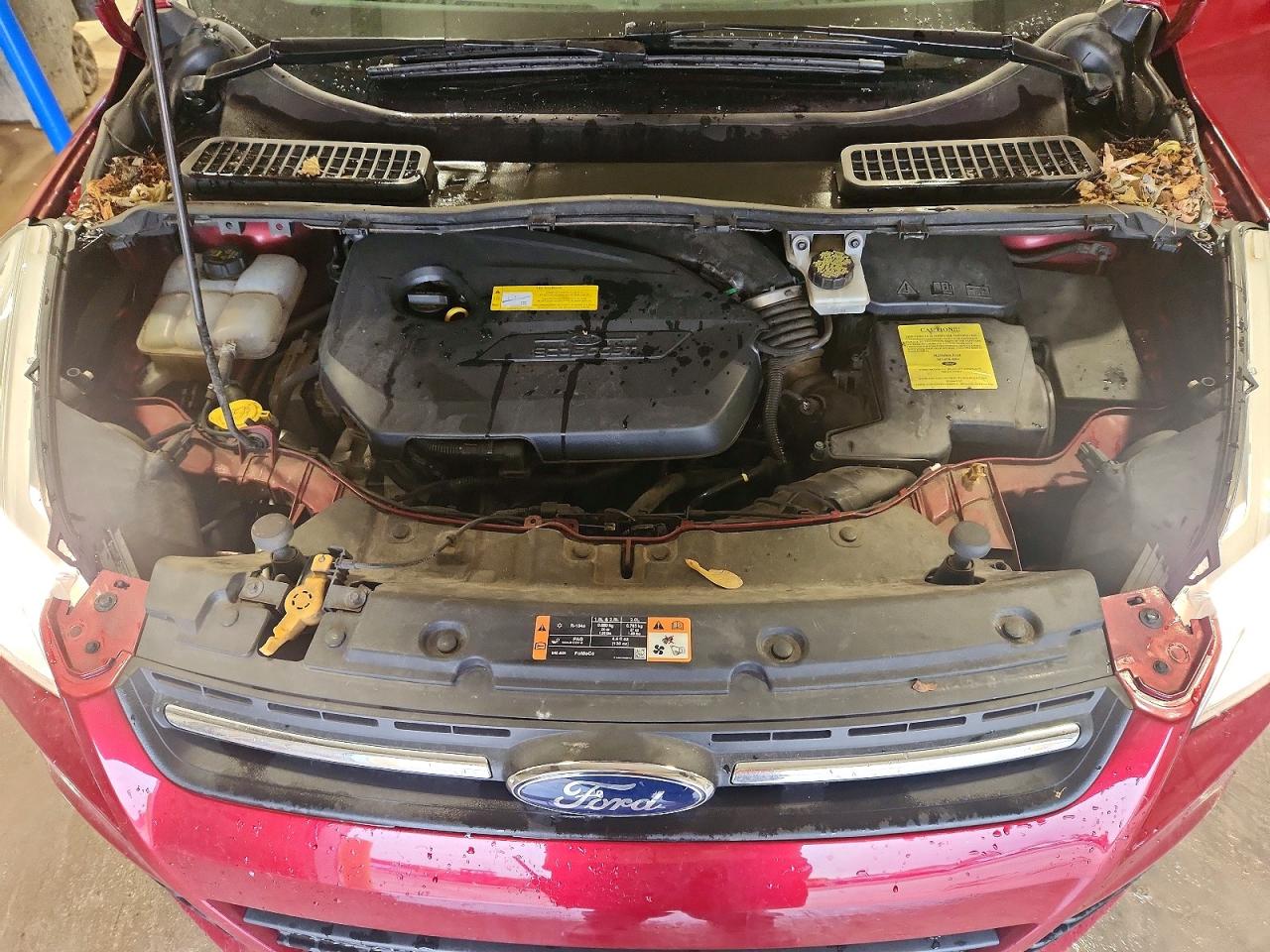 Ford Escape Se