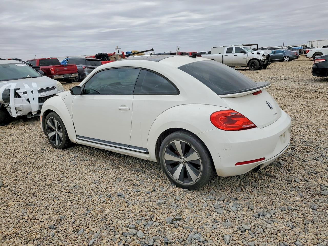 Volkswagen Beetle