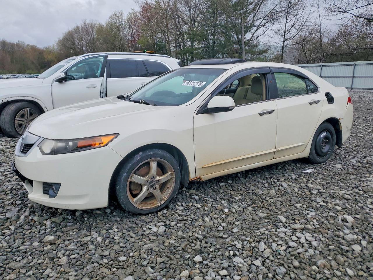 Salvage Acura TSX Image