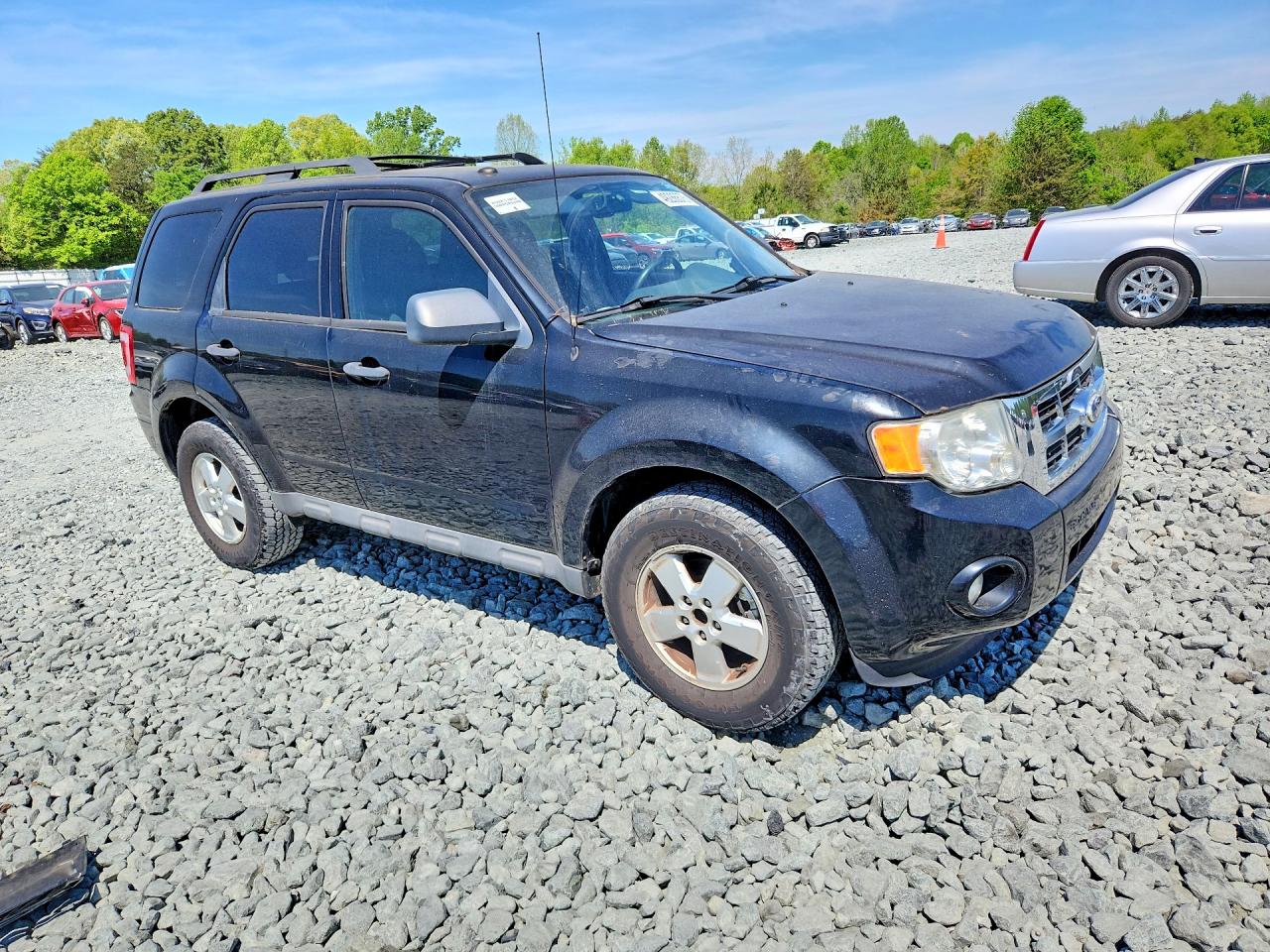 Ford Escape Xlt