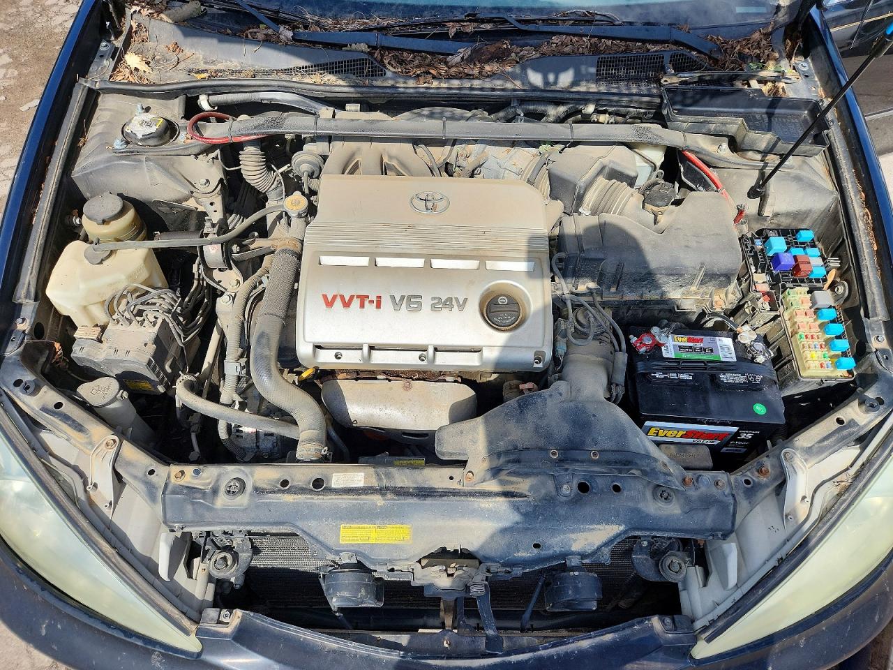 Toyota Camry Xle V6