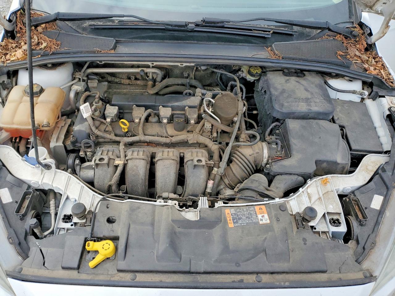 Ford Focus Se