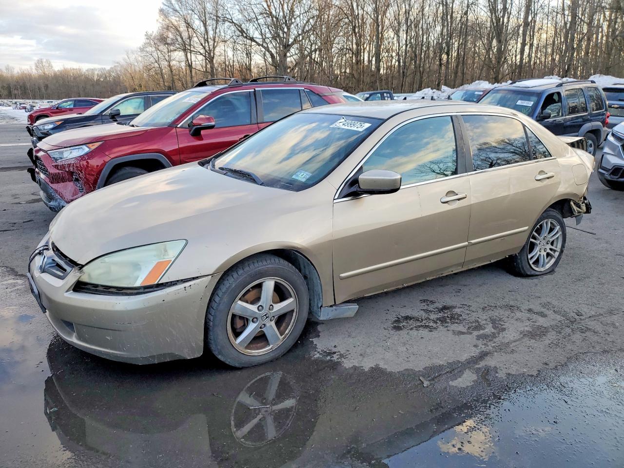 Salvage Honda Accord Image