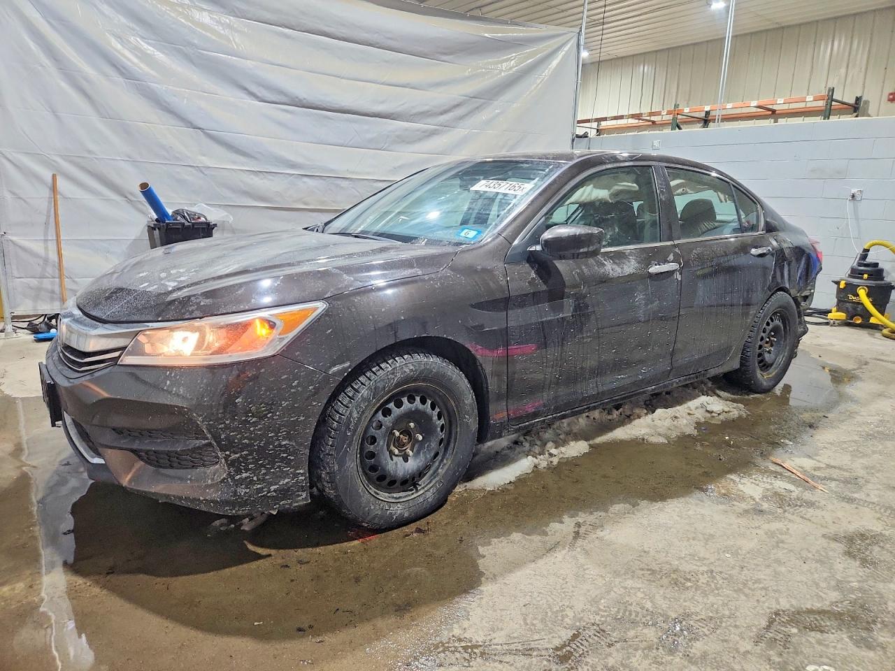 Salvage Honda Accord Image