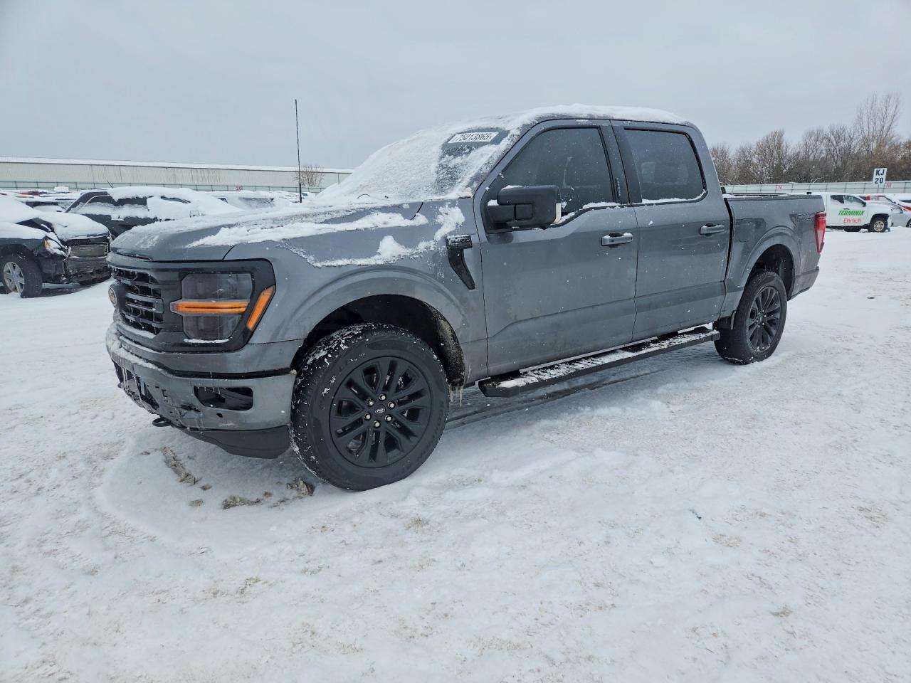 Salvage Ford F-150 Image