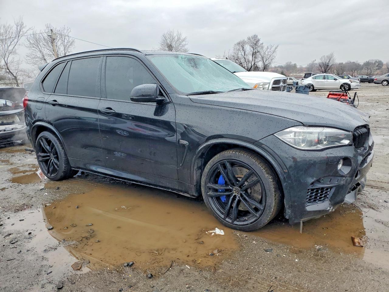BMW X Series M