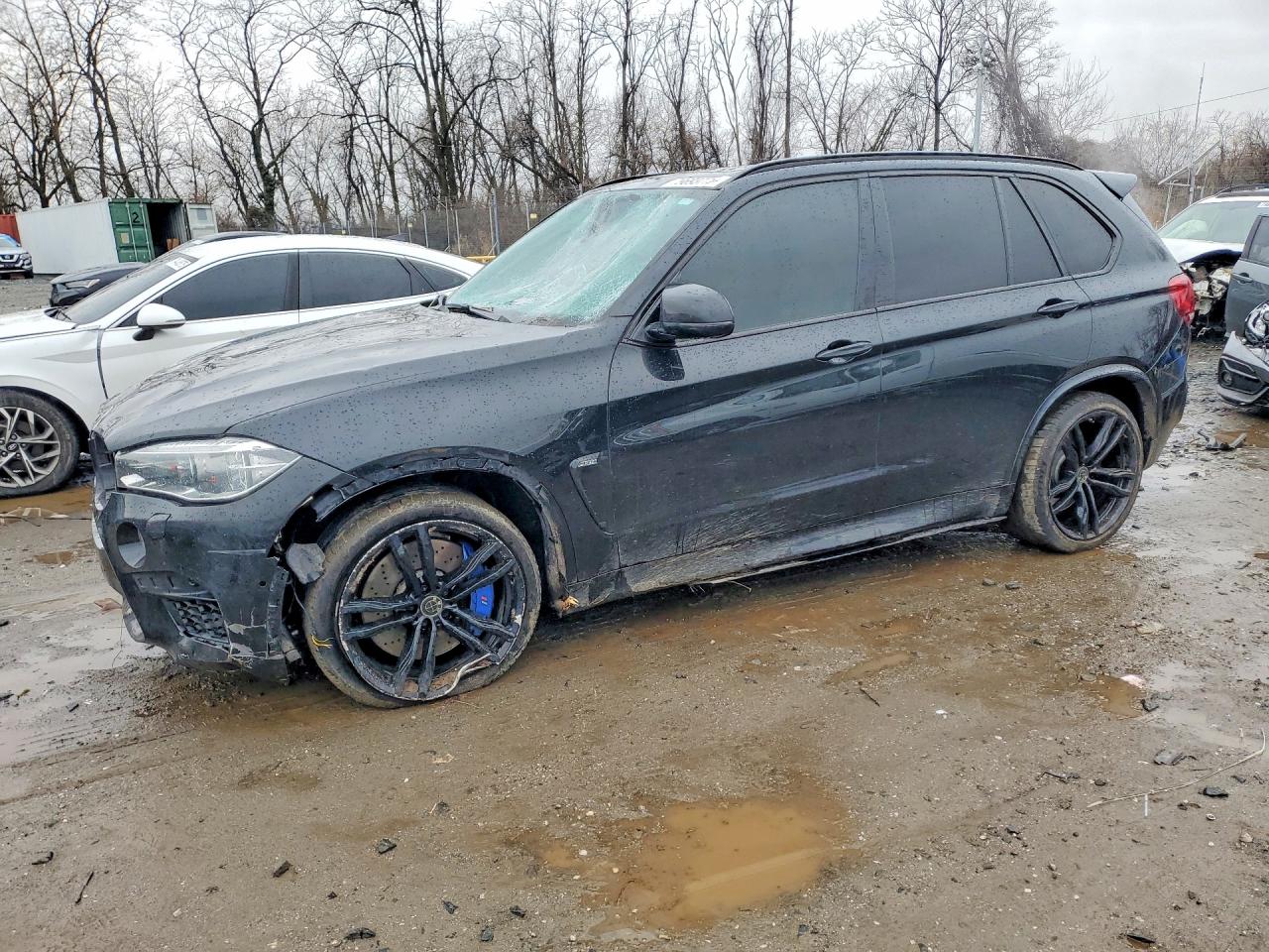 Salvage BMW X Series Image