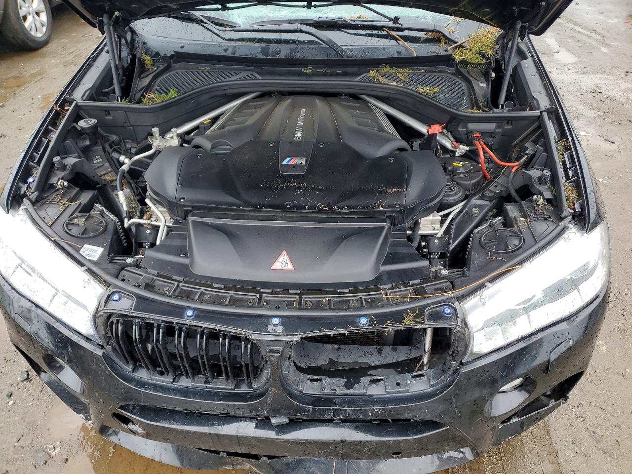 BMW X Series M