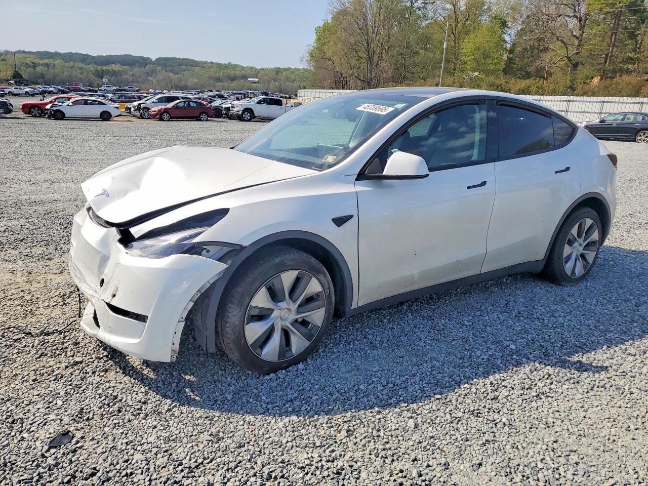Salvage Tesla Model Y Image