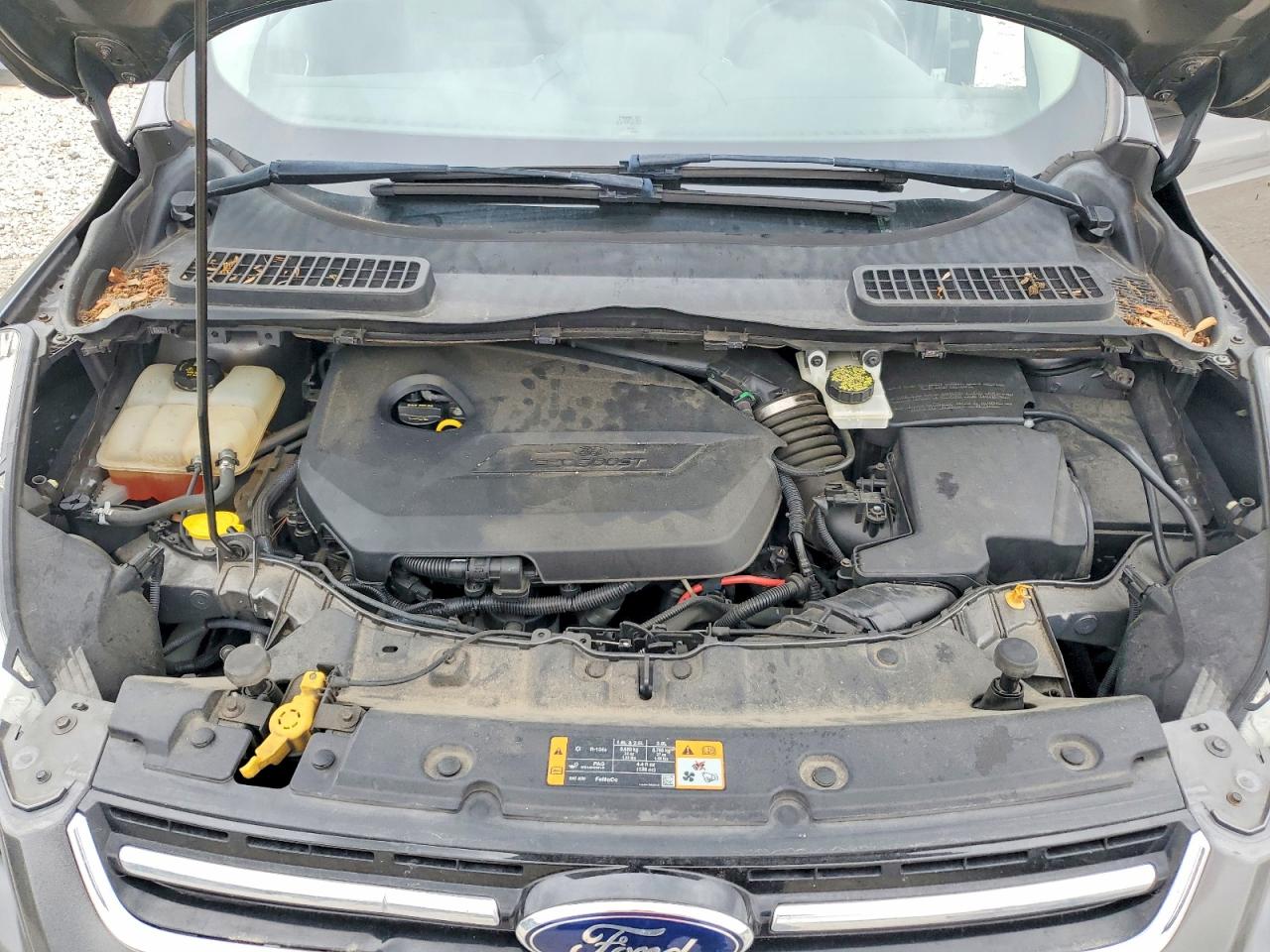 Ford Escape Sel
