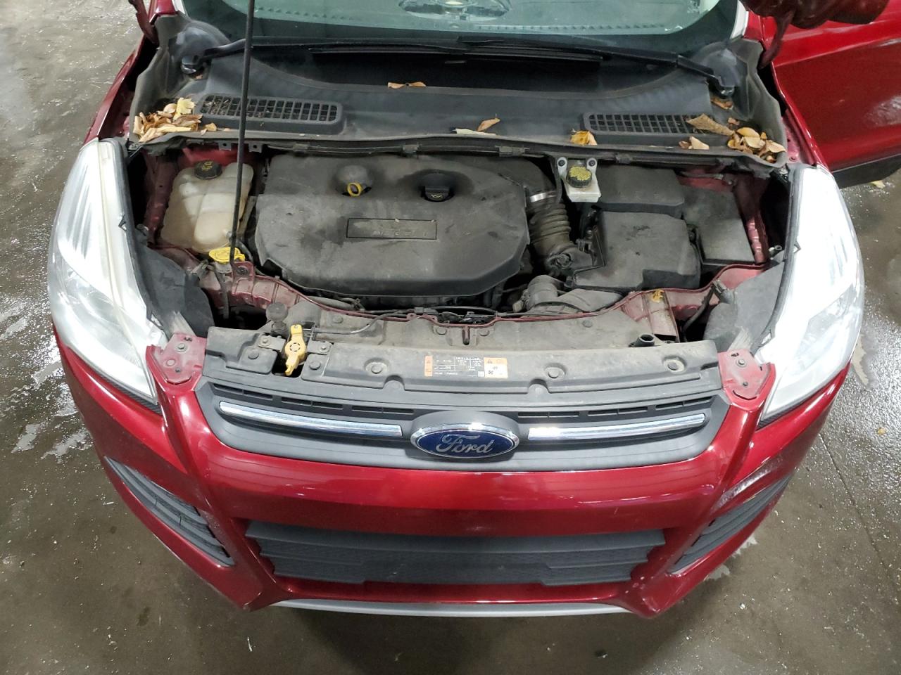 Ford Escape Se