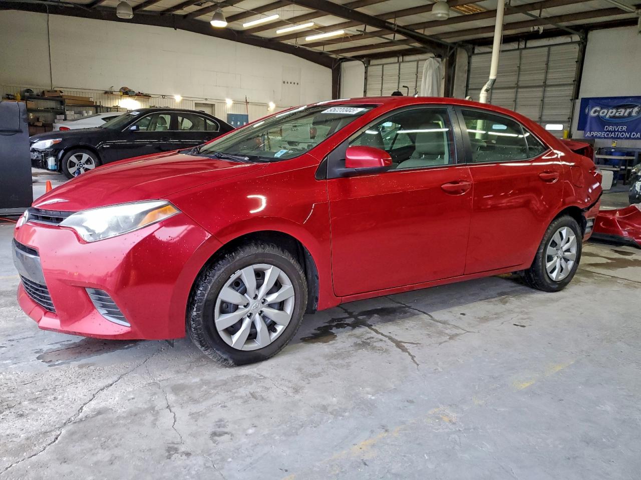 Salvage Toyota Corolla Image
