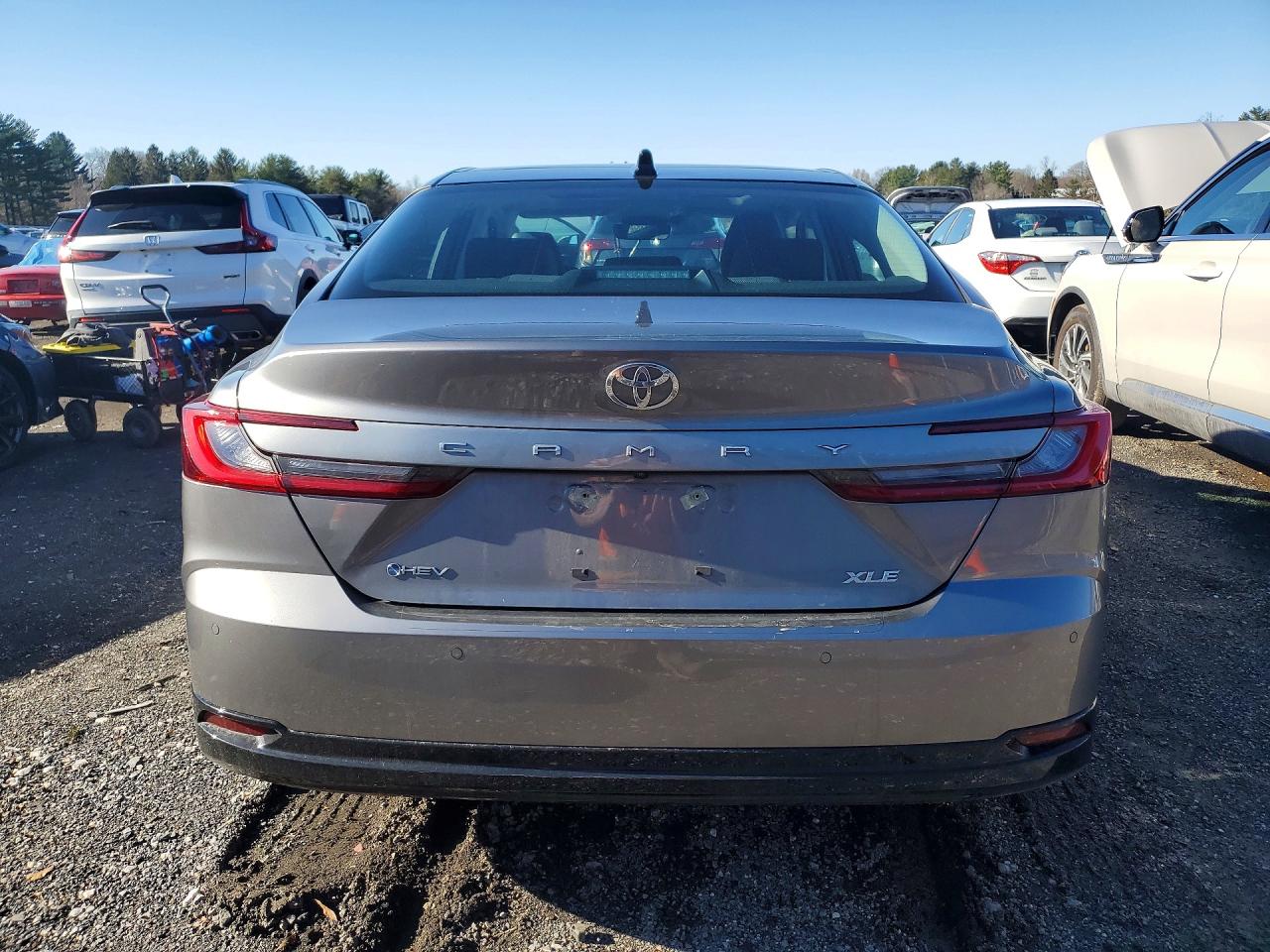 Toyota Camry Xle