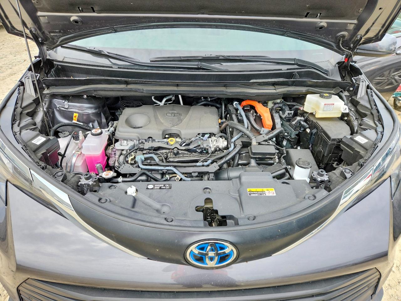 Toyota Sienna Xle 7-passenger