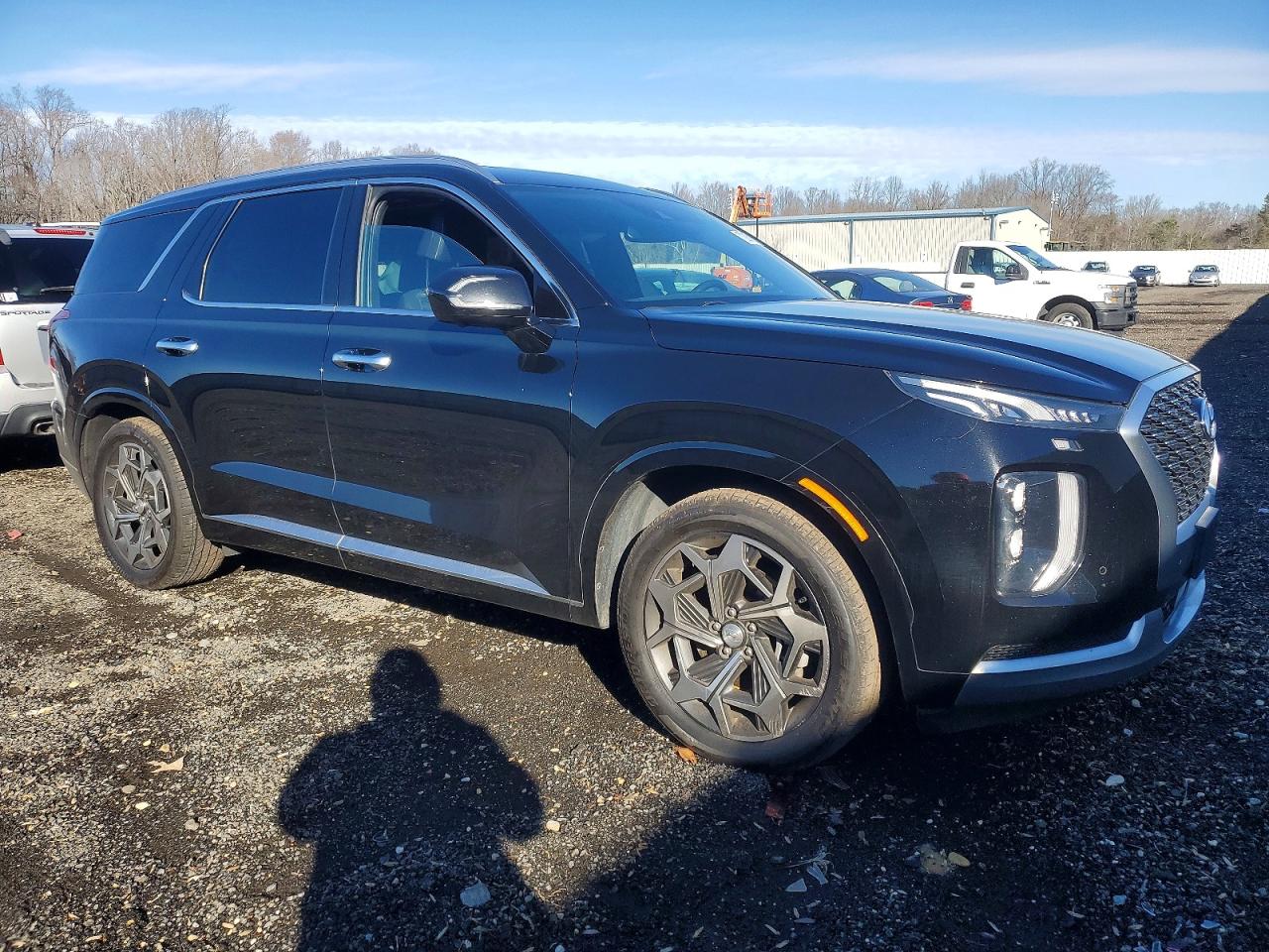 Hyundai PALISADE Calligraphy