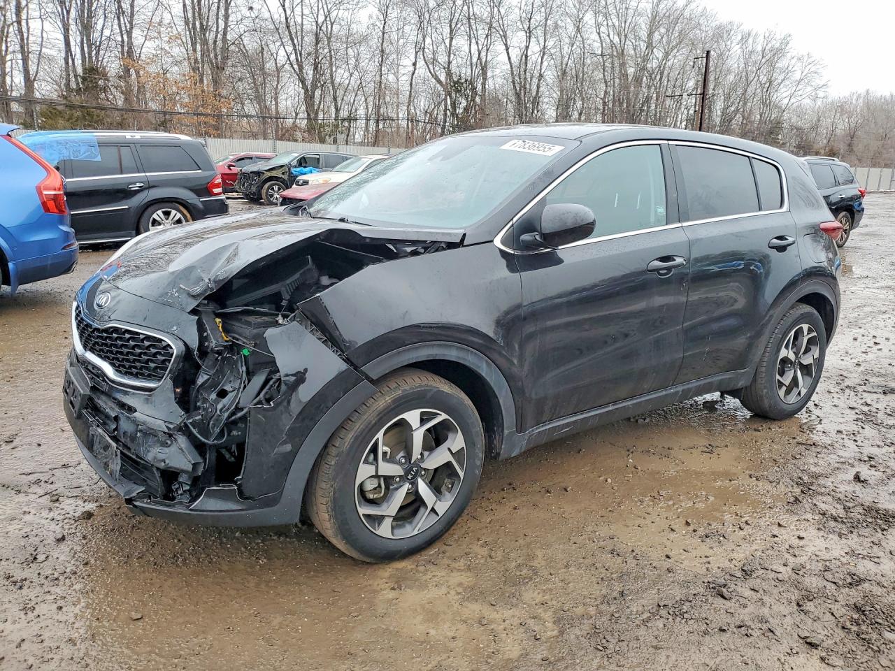 Salvage Kia Sportage Image
