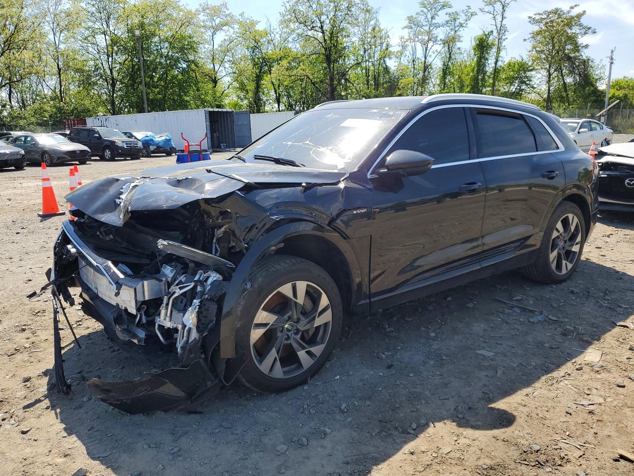 Salvage Audi e-tron Image