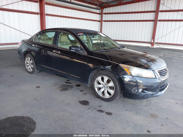 Salvage Honda Accord Image