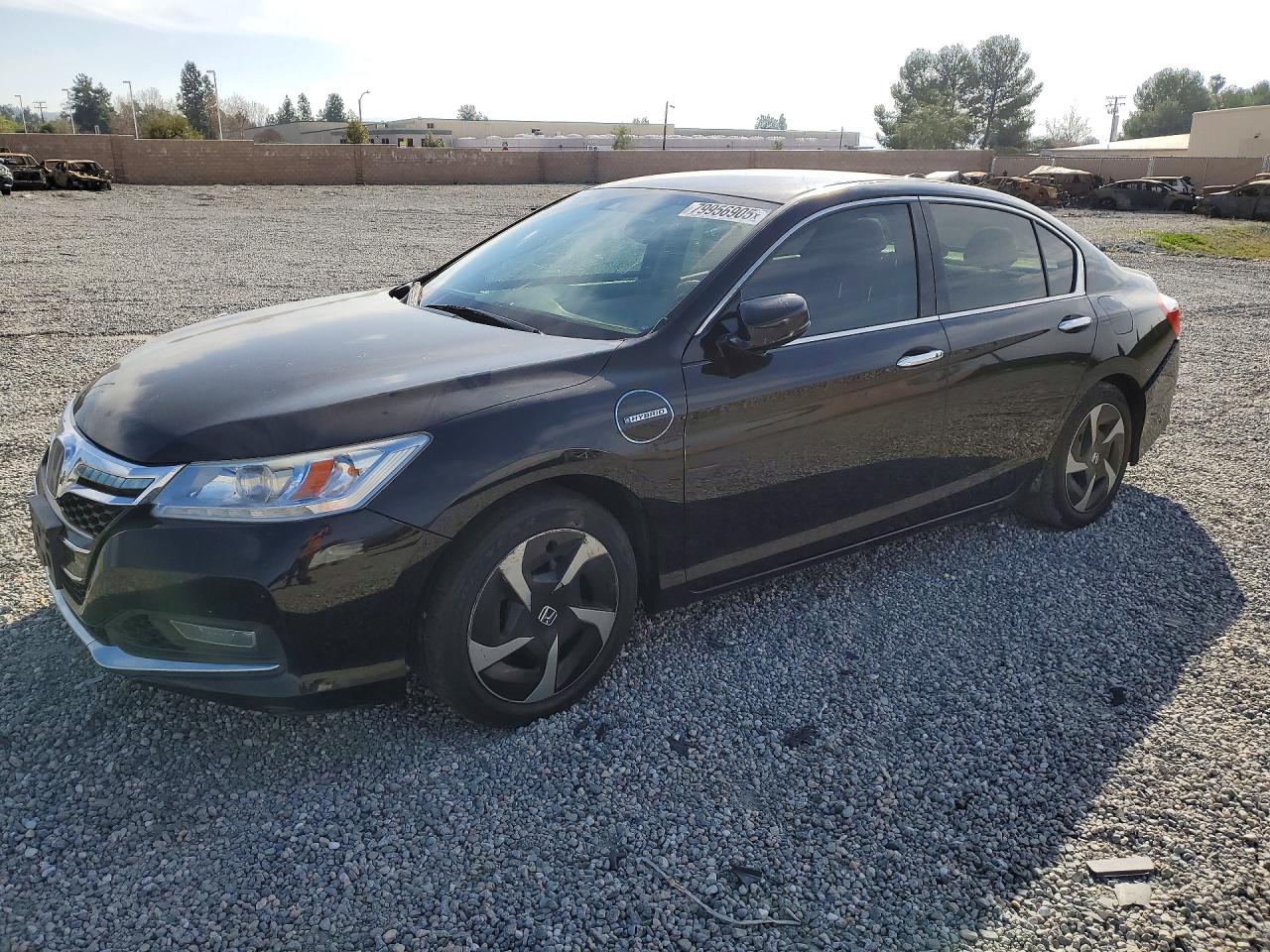 Salvage Honda Accord Image