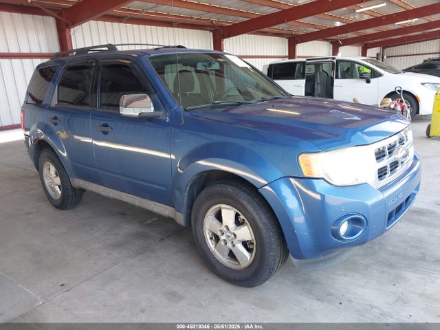 Salvage Ford Escape Image