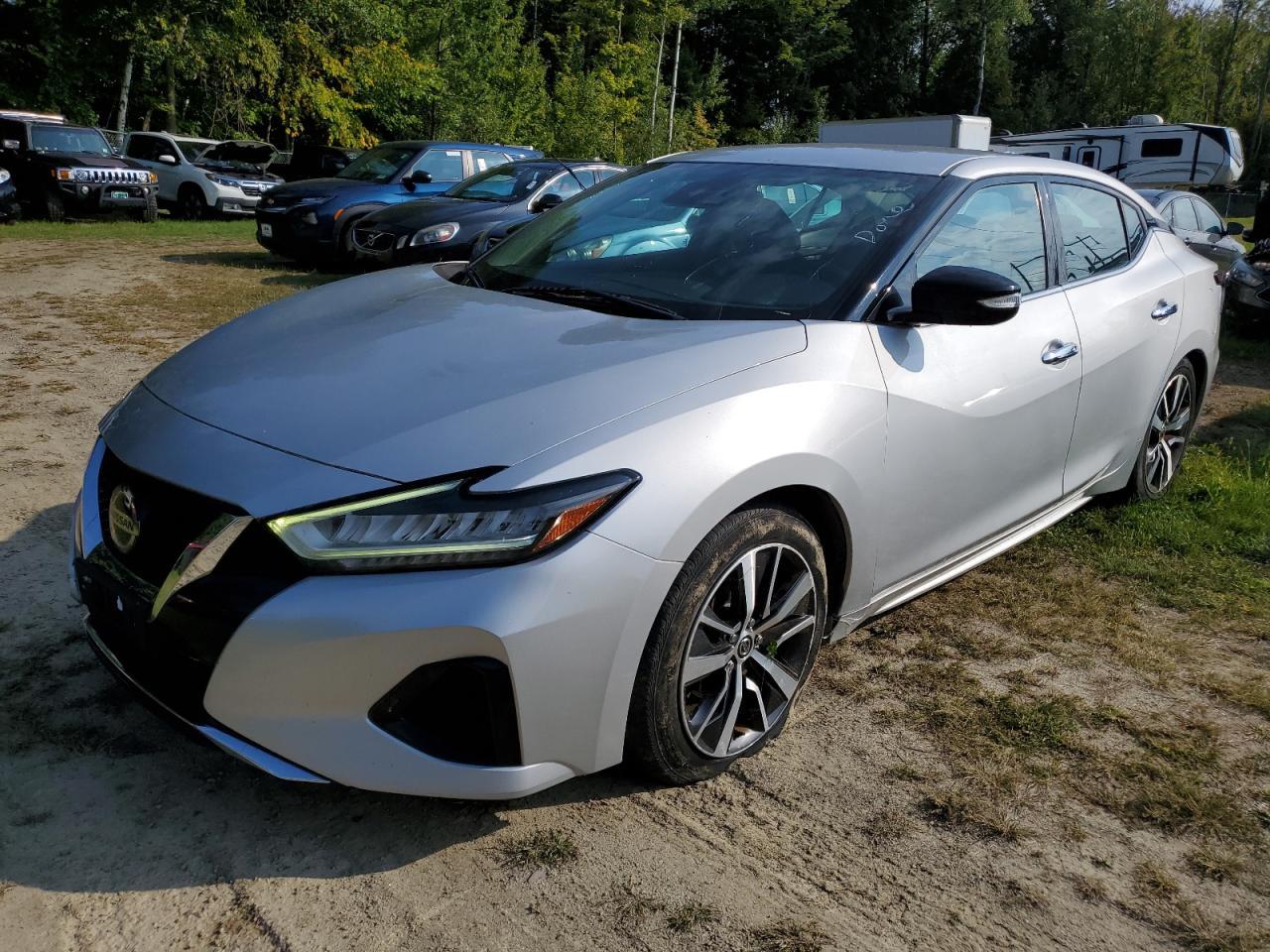 Nissan Maxima Sv