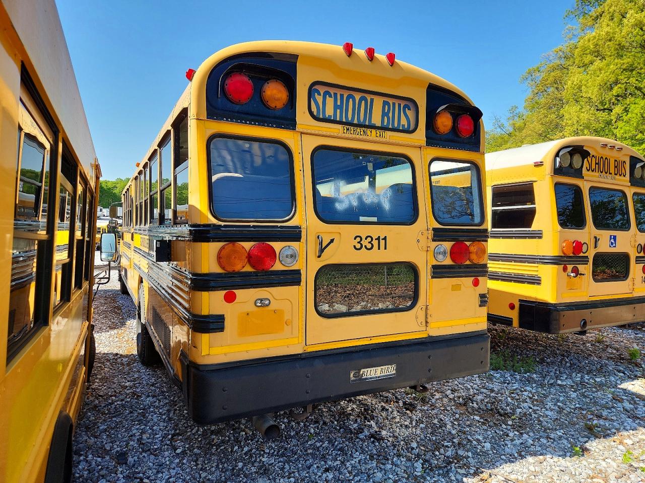 Blubird School Bus Transit Bus