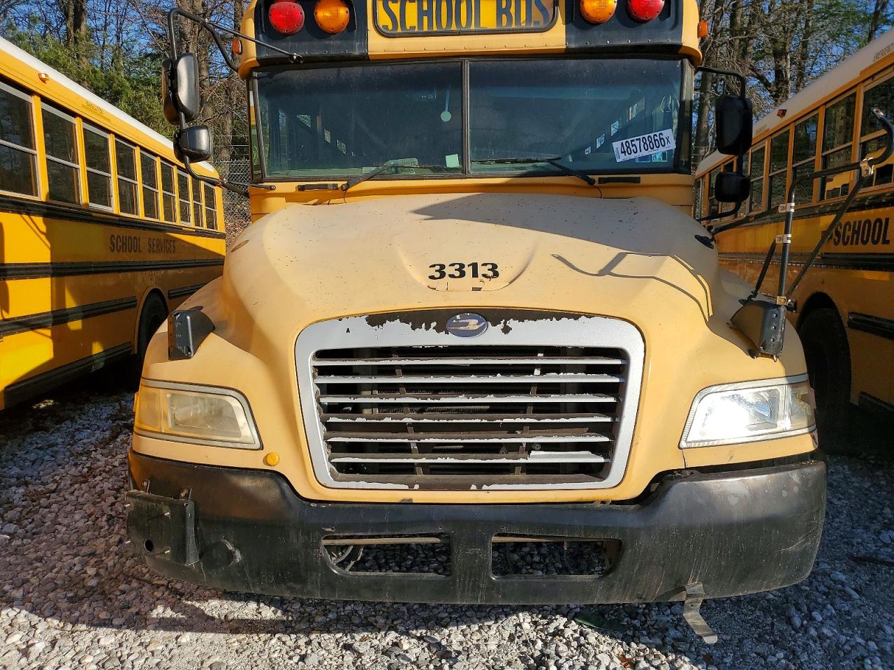 Blubird School Bus Transit Bus