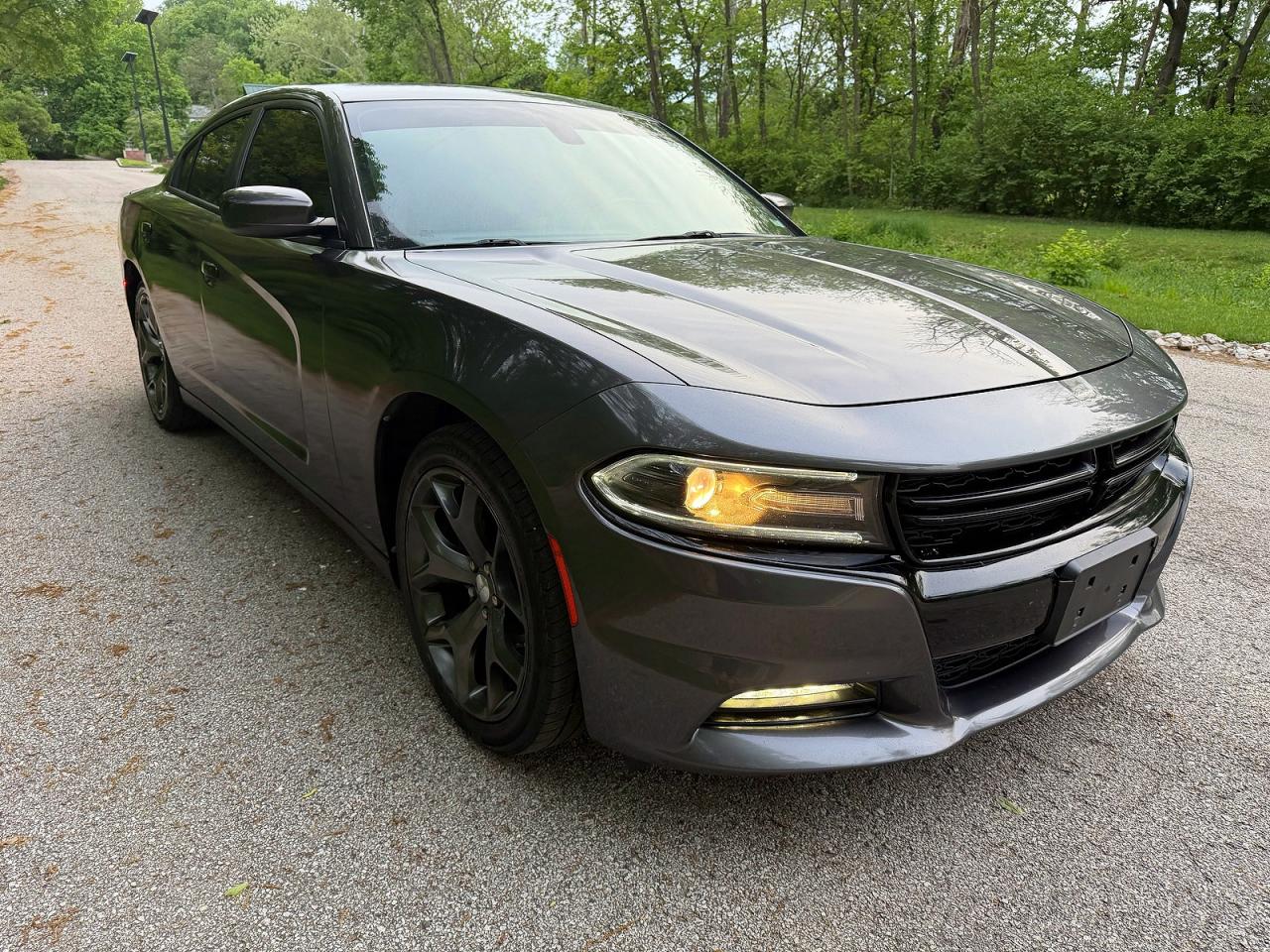 Salvage Dodge Charger Image