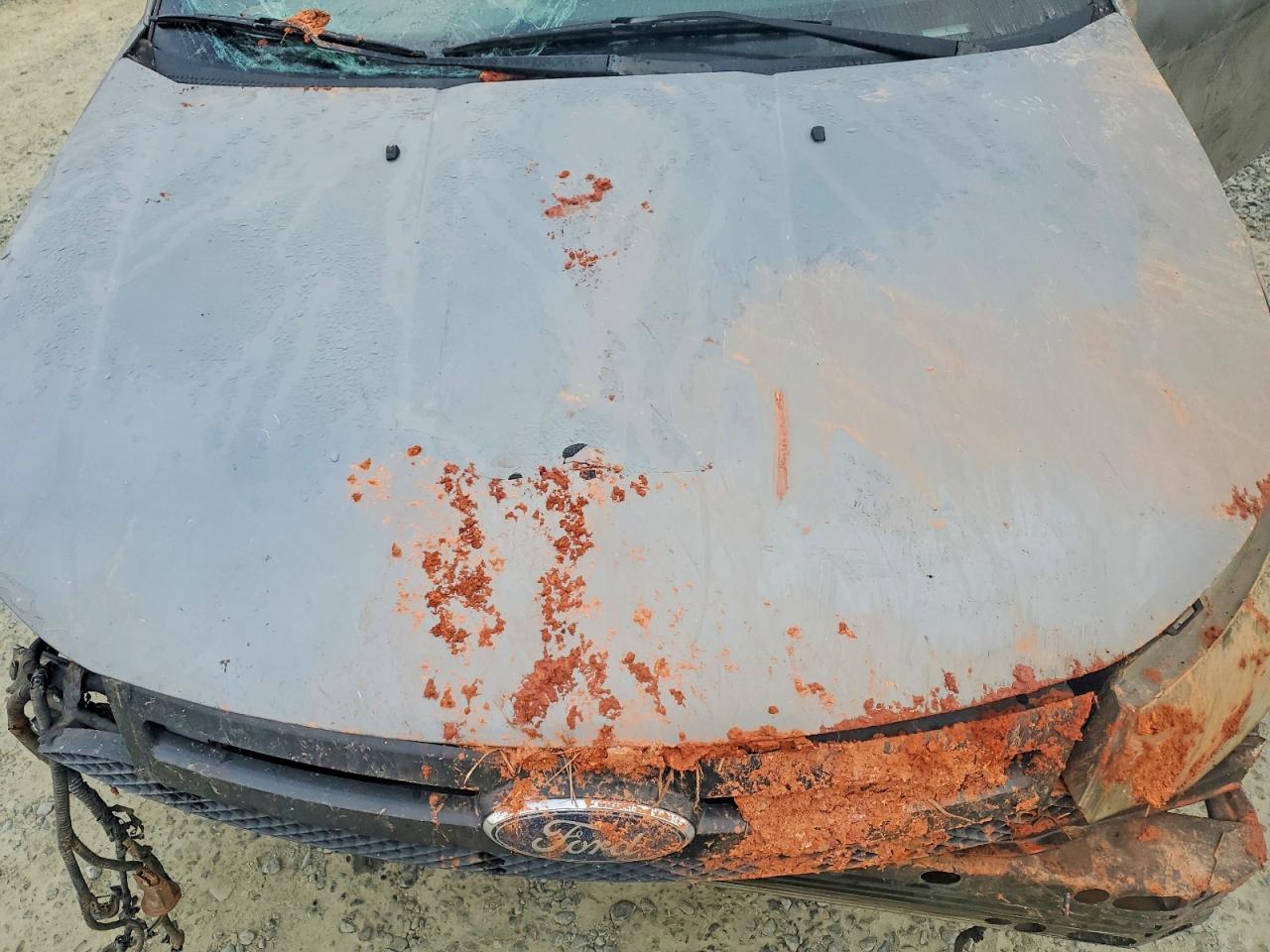 Ford Focus Ses