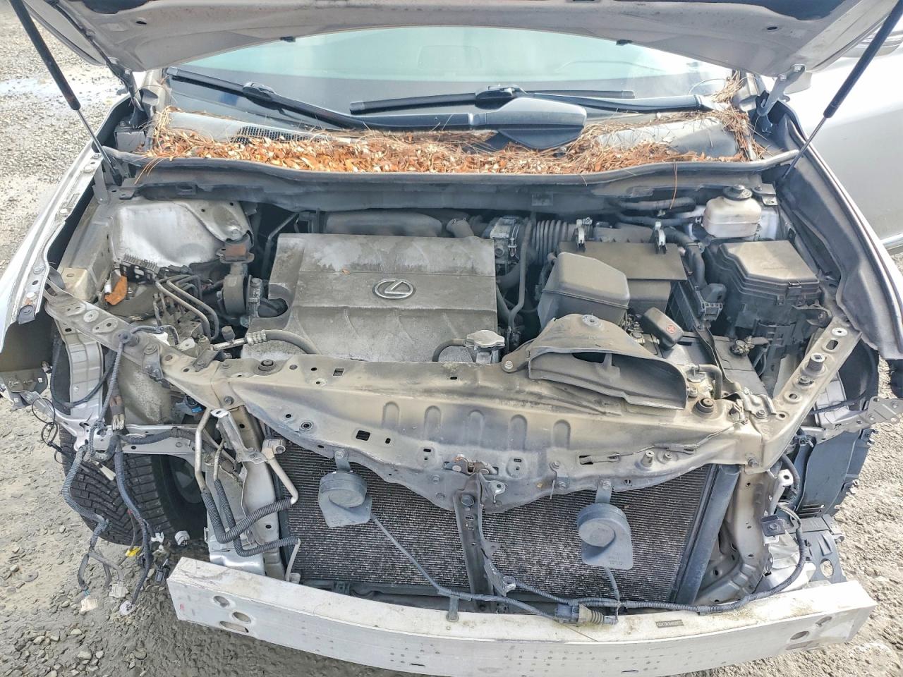 Lexus RX Base