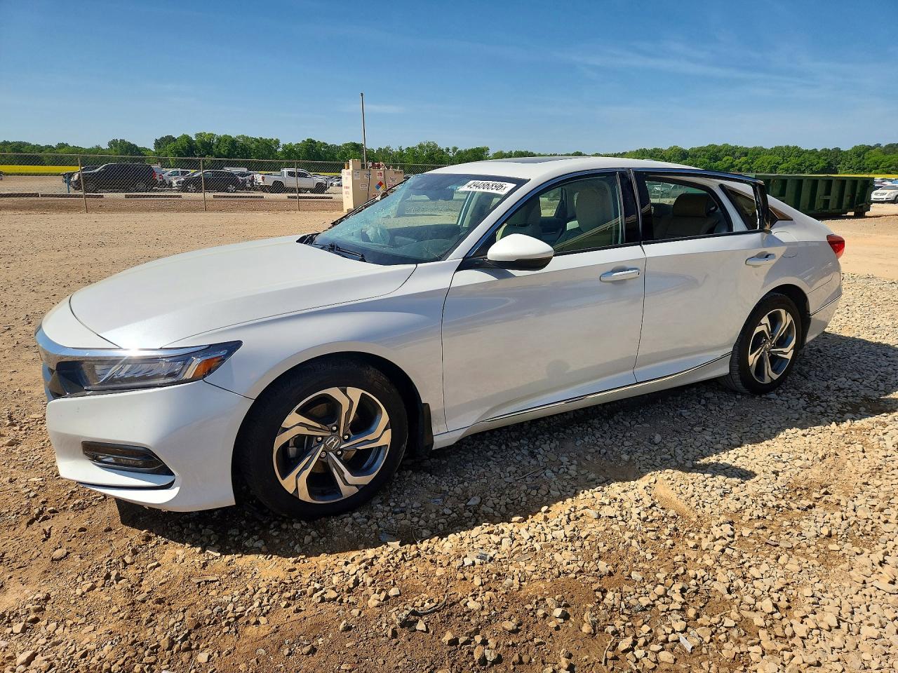 Salvage Honda Accord Image
