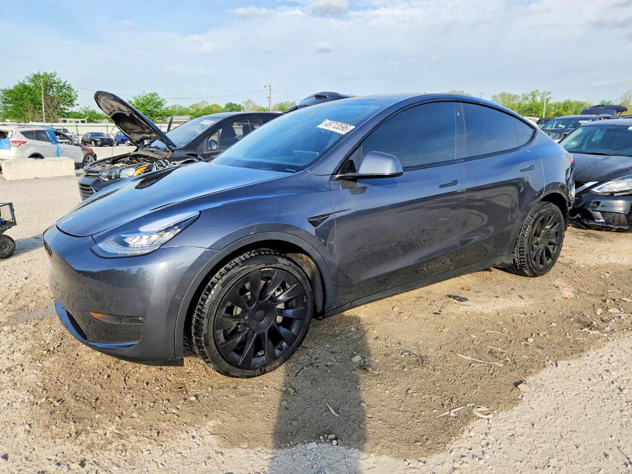 Salvage Tesla Model Y Image