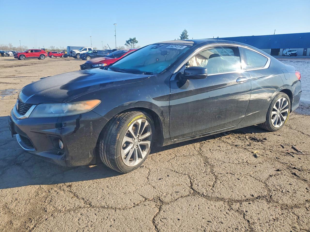Salvage Honda Accord Image